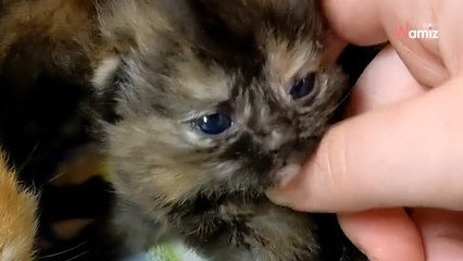 Il rentre dans son garage sans se douter qu'une famille campe chez lui depuis une semaine (vidéo)