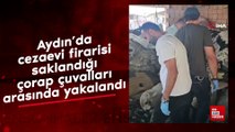 Aydın'da cezaevi firarisi saklandığı çorap çuvalları arasında yakalandı