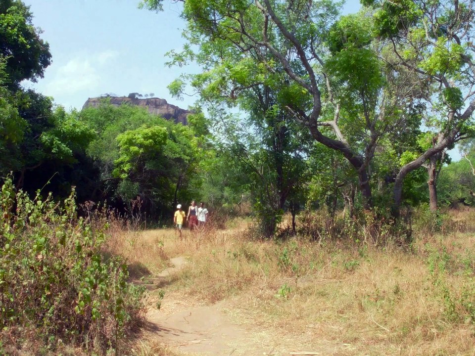 Ben and Suzanne, A Reunion in 4 Parts Trailer OV