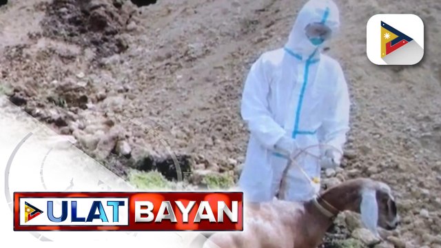 Unang kaso ng Q-fever disease sa Pilipinas, naitala; human case ng sakit, wala pang naitala