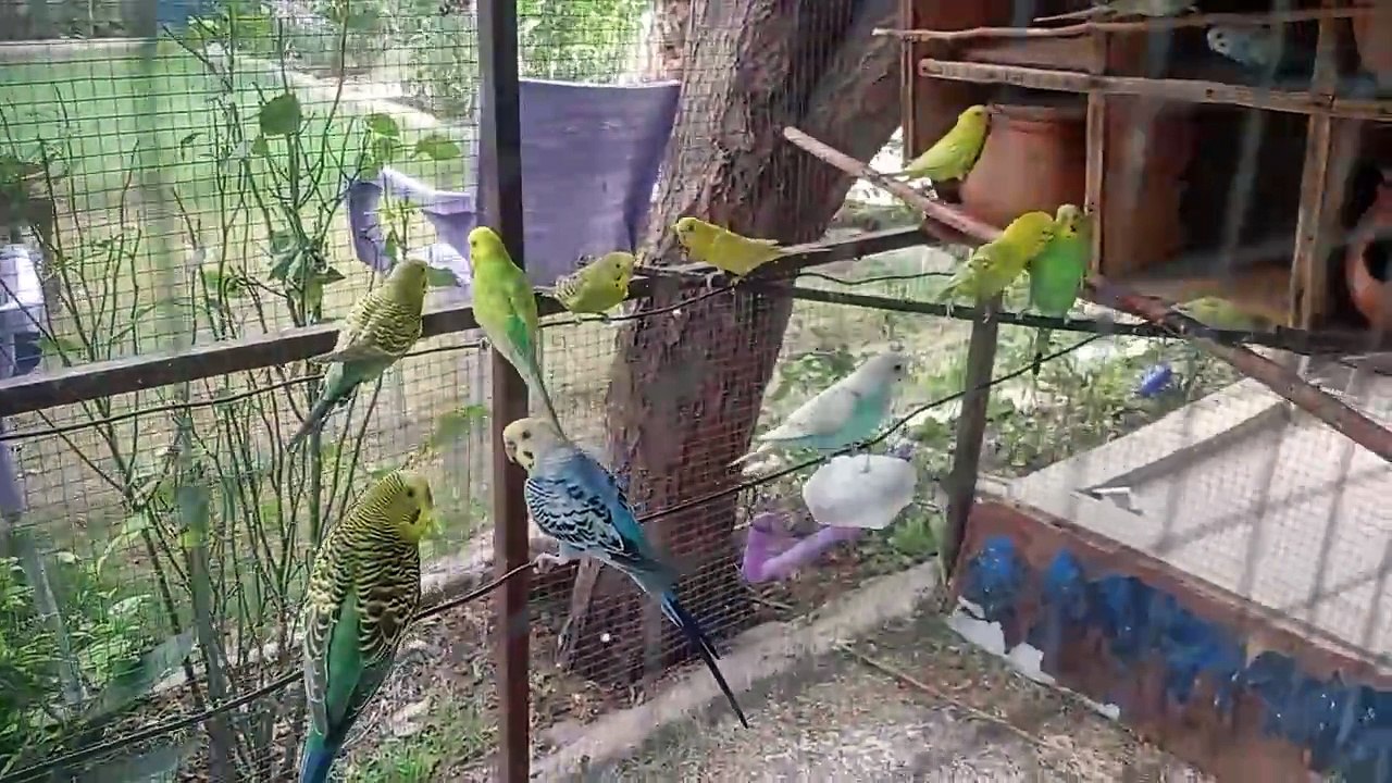 video_20240621_162658