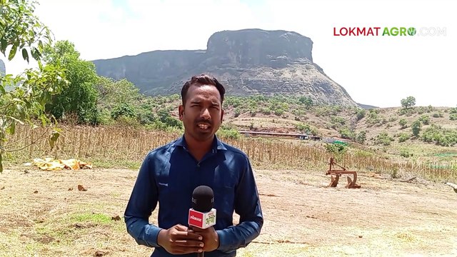 डोंगरावरून विना लाईटचं दिड किलोमीटर शेतात पाणी कसं आलं-