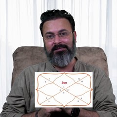 Understanding the role of the Sun in Birth Chart. Astrology Insights with Guru Ji Dr. Raj
