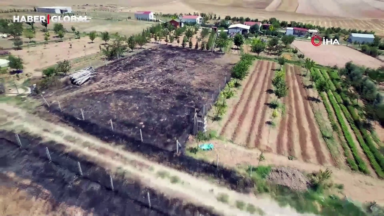 Yılan için az kalsın köyü yakıyorlardı: 60 dönümlük arazi kül oldu gitti