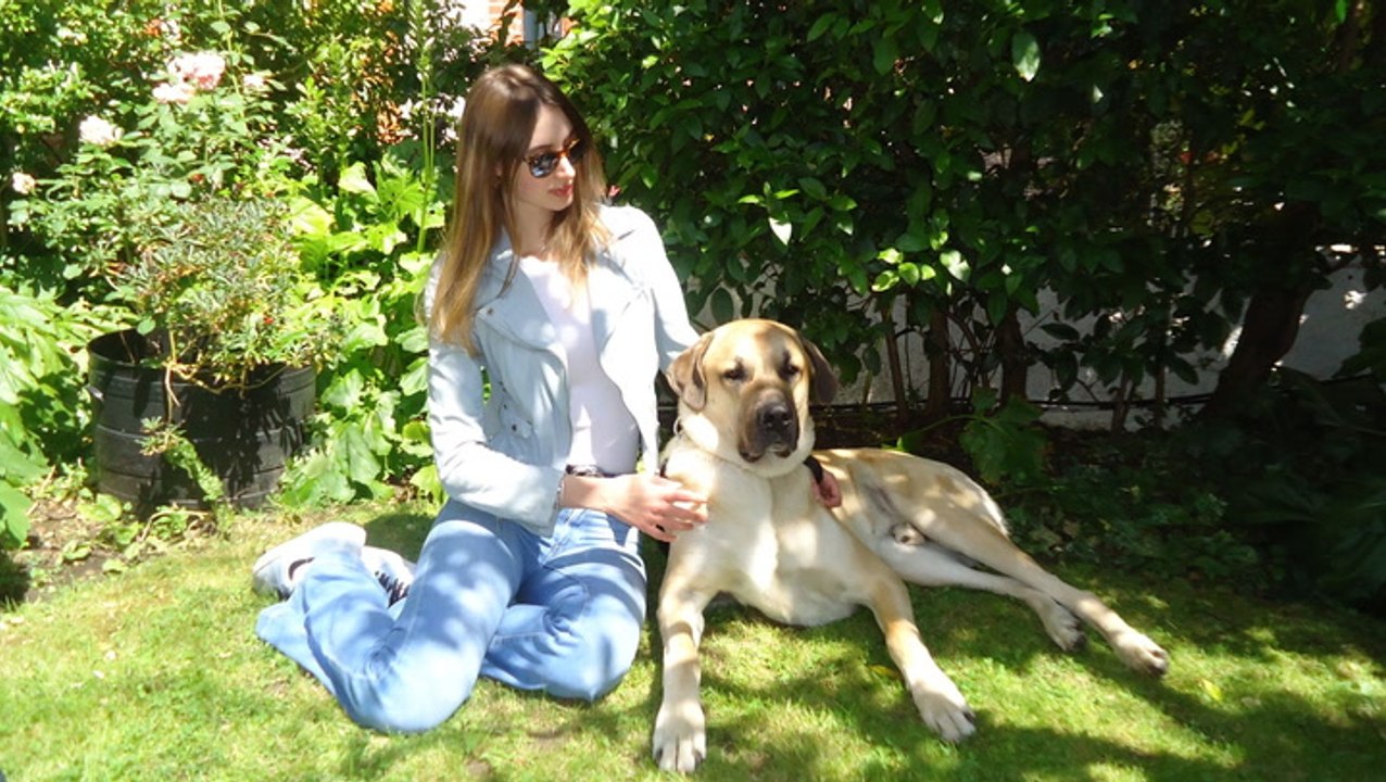 Woman’s 70kg dog weighs more than she does and stands over 6ft tall on hind legs