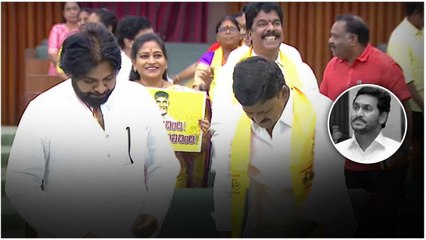 Assemblyలో Pithapuram MLA క్రేజ్.. సిగ్గుపడుతూ Pawan Kalyan చిరునవ్వులు | Oneindia Telugu