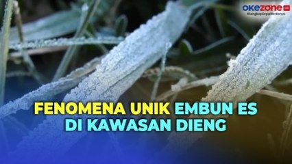 Dieng Membeku! Fenomena Embun Es di Kawasan Dieng Jadi Daya Tarik Wisatawan
