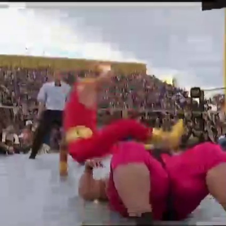 Hulk Hogan Vs Yokozuna