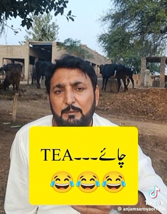 Tea