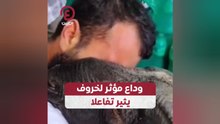 وداع مؤثر لخروف يثير تفاعلا