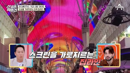 도파민의 도시 라스베이거스♨♨ 도심을 가로지르는 초고속 집라인 체험