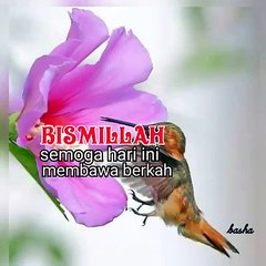 VID-20240513-WA0008
