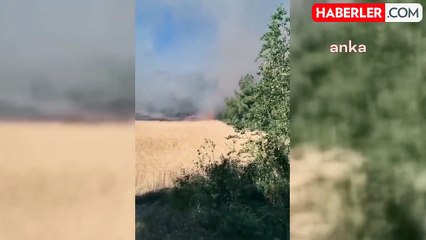 (SİNOP) Tarım arazisinde çıkan yangında 2,5 hektarlık alan zarar gördü