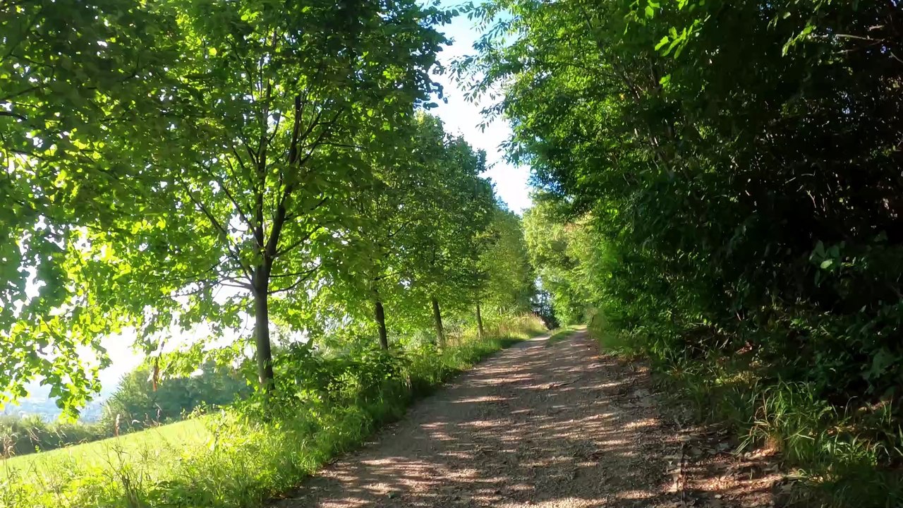 MTB Lainzer Tiergarten-Strecke Wien: Highlights