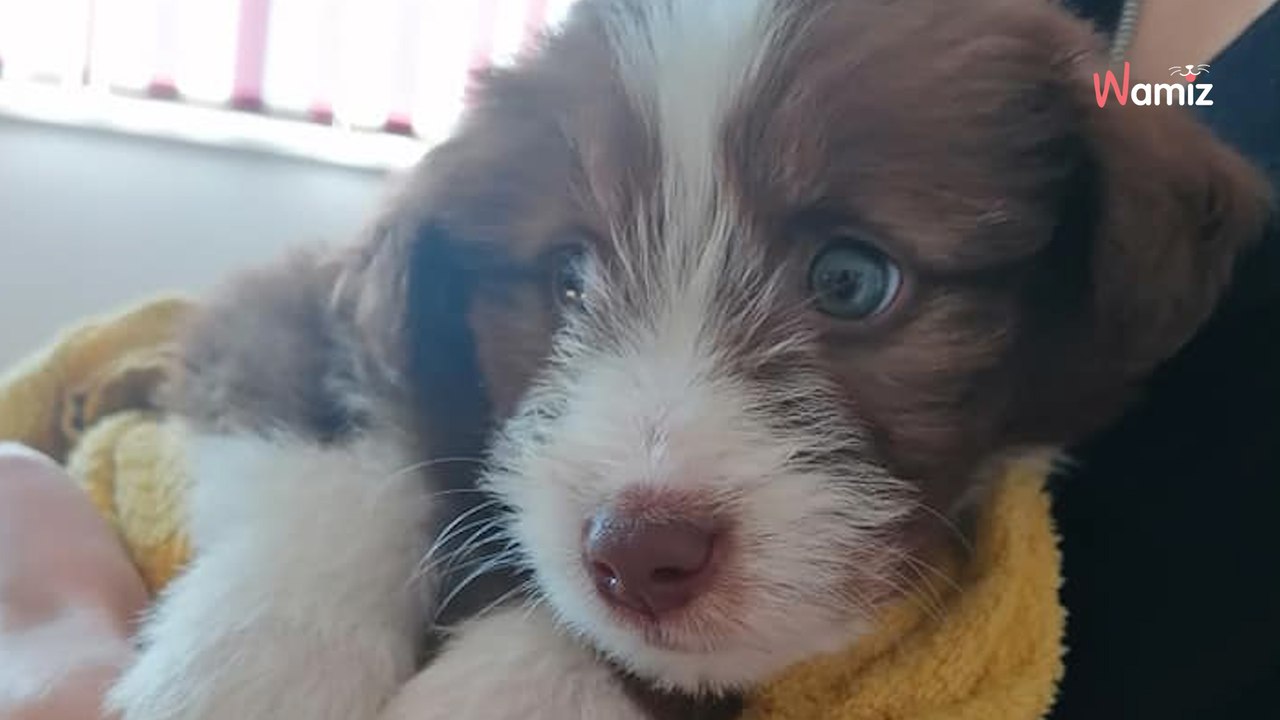 „Werd' ich nie vergessen': Schlimmer Fund neben Aldi-Tüte erschüttert Bayern