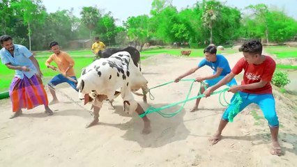 Exclusive_Trending_Comedy_Video_2024_New_Amazing_Funny_Video_Episode_265_by_Busy_Fun_Ltd(1080p50)