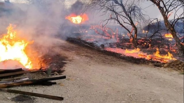 Yangın çıktı, meyve ağaçları zarar gördü