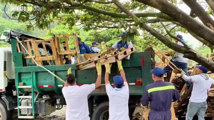 960 toneladas de residuos se han recogido en los operativos de espacio público en Medellín