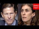 Richard Blumenthal Questions Judicial Nominee About Her Approach To Sentencing After GOP Attacks