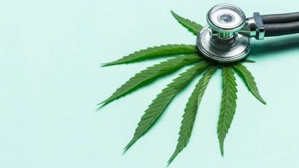 El Consumo De Cannabis En Ancianos Mejora La Salud