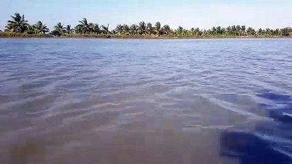 Cảnh đẹp đồng quê miền tây