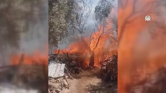 İki ilçede çıkan ev yangınları diğer evlere ve ormana sıçradı