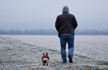 Dogs can actually understand humans, new study finds