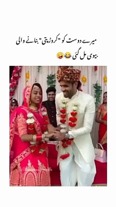 Funny video New