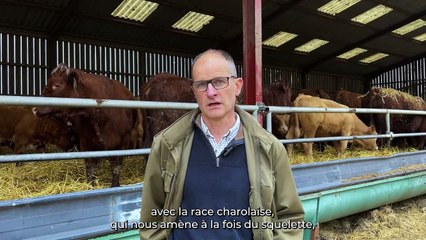 « Croiser mes salers avec du charolais simplifie ma conduite d’élevage »
