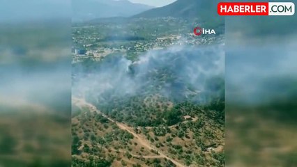 İzmir'de orman yangınına havadan ve karadan müdahale