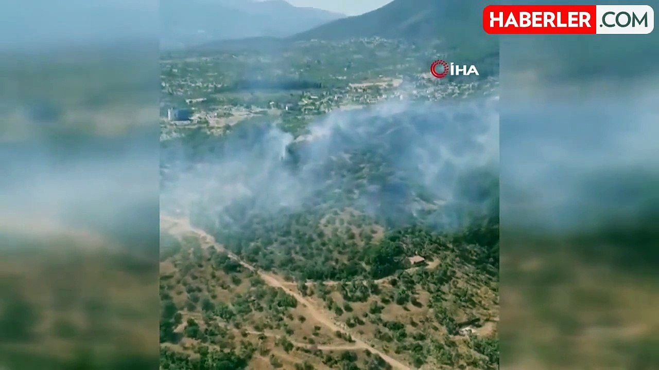 İzmir'de orman yangınına havadan ve karadan müdahale