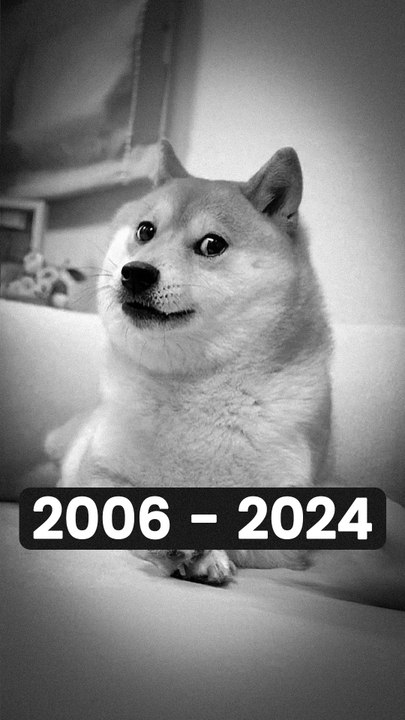 tristesse