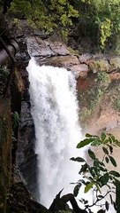 Whispers of the Waterfall: A Journey to Serenity