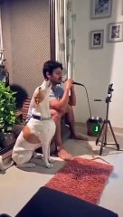 Singing Pup Serenade: A Dog with Musical Talent!"