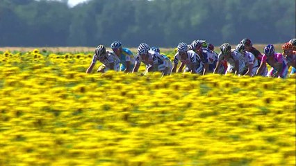 L'incroyable histoire du Tour de France 🚴‍♂️