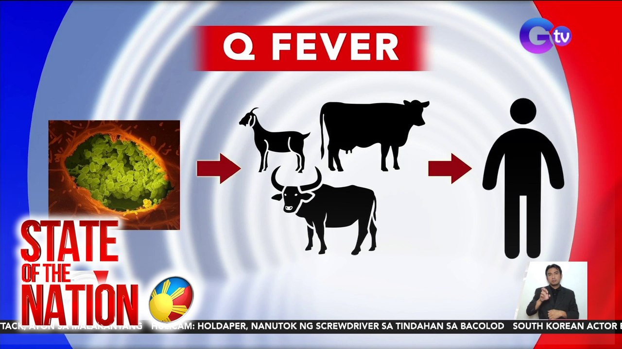 Kauna-unahang kaso ng "Q fever" sa Pilipinas, naitala sa 19 na kambing sa Marinduque | SONA