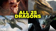 House of the Dragon: EVERY DRAGON in the Dance of the Dragons Explained!