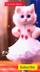 धक धक करने लगा #aicats #viralcats #dailymotion #kittens