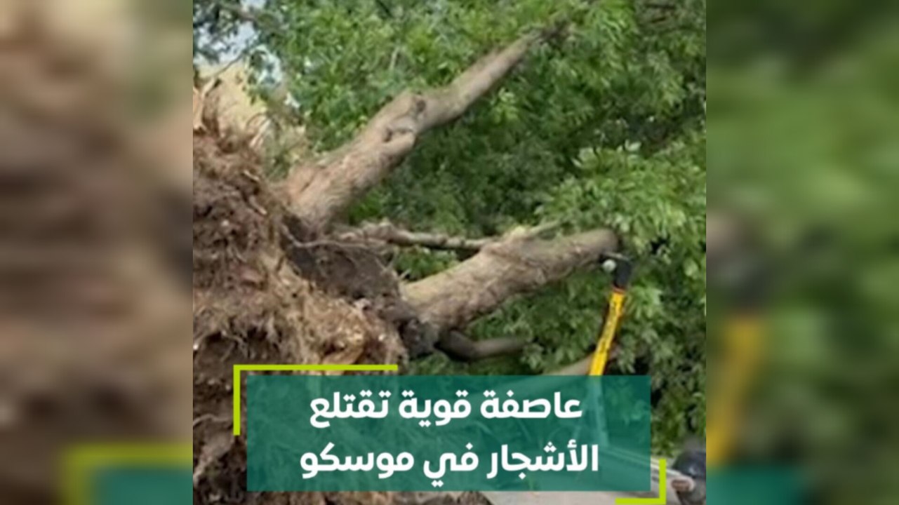 عاصفة قوية تقتلع الأشجار في موسكو
