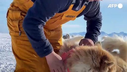 Groenland : les derniers chasseurs d'Ittoqqortoormiit