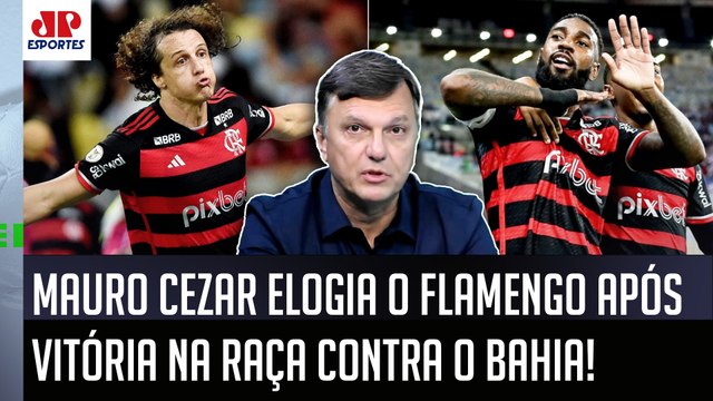 O Flamengo agora LUTA ATÉ O FIM! NÃO SE ENTREGA, e quem tá JOGANDO MUITO é o... Mauro Cezar ELOGIA