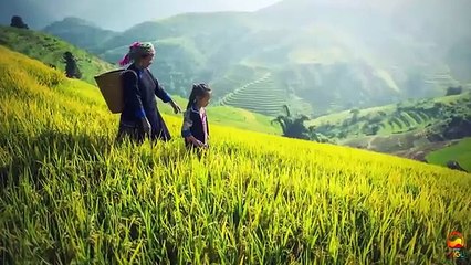 NIKOLA_TESLA_BIOGRAPHY_IN_HINDI___TESLA_COIL___INVENTIONS__WIRELESS_ELECTRICITY