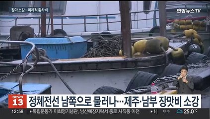 올해 장마 시작부터 폭우…중부 이례적 여름 황사비