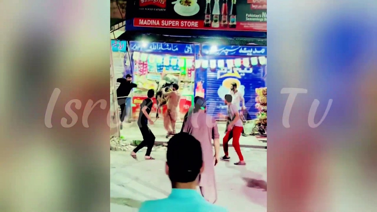 Dangerous qurbani moments 2024  __ Eid UL Azha Funny Animals Attacks __ Israr Info Tv