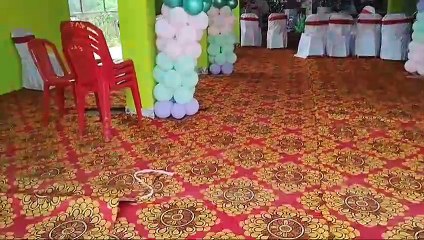 First Birthday Decoration