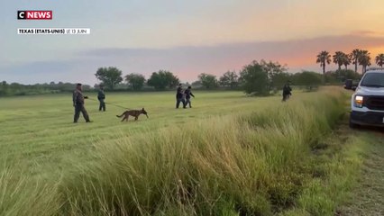 Etats-Unis : la chasse aux passeurs