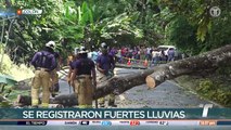 Tras lluvias, caen árboles y postes en vía que conduce a Costa Abajo de Colón