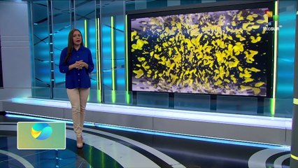 Guía tu Cuerpo | Enfermedades autoinmunes | 23-04-2024