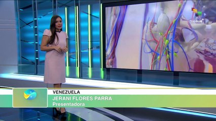 Guía tu Cuerpo | Sistema Hematopoyético | 16-04-2024