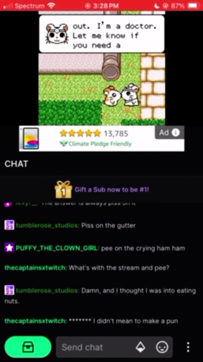 Hamtaro GBC Games 1:2